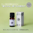 【ふるさと納税】【MICIL（ミシル）】高知県産木材を使った天然成分100％の杉エッセンシャルオイル 8ml　すぎ アロマ 香り リラックス 1本 こだわりのもくめん緩衝材 包装 14000円