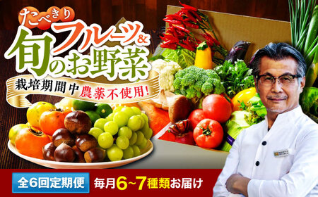 【全6回定期便】野菜×フルーツセット（6-7種）少量食べきりセット　 野菜 果物 やさい 少量セット[AGBX049]