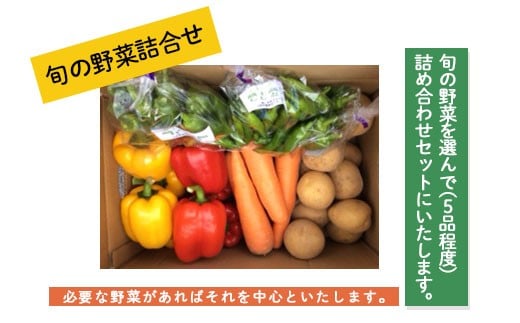 
旬の野菜詰合せ【思いやり型返礼品】 FZ19-523
