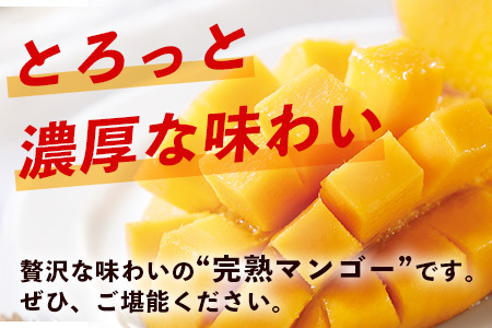 【先行予約】石垣島産 マンゴー 約1kg(2～3玉) 《6月中旬頃より順次発送》【 産地直送 沖縄 石垣 フルーツ マンゴー 】TP-1