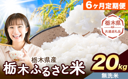 【6ヶ月定期便】米 栃木 ふるさと米 無洗米 20kg (5kg×4袋)《定期は翌々月より出荷開始》栃木県 野木町 米 国産 お米 おこめ お弁当 おにぎり【栃木県共通返礼品】
