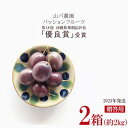 【ふるさと納税】【2025年発送】山パ農園 パッションフルーツ 2箱（約2kg） 南国 沖縄 おきなわ 果実 フルーツ 青果 期間限定 先行予約 数量限定 旬 人気 おすすめ 贈答 プレゼント ギフト 贈り物 カクテル デザート 取り寄せ ジュース