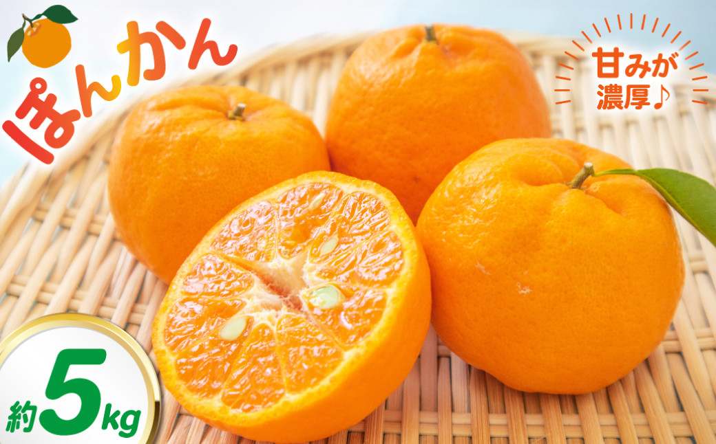 ポンカン 約5kg  柑橘 みかん ミカン 蜜柑 果物 フルーツ デザート【2026年2月上旬-3月下旬発送予定】