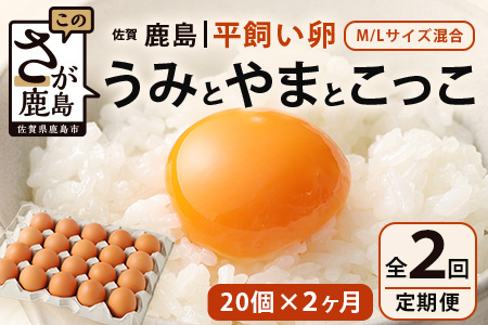 たまご 【定期便】佐賀県鹿島産 平飼い卵「うみとやまとこっこ」上田養鶏場 たまご20個×2回 タマゴ 玉子B-396 20個 × 2ヶ月【合計40個】