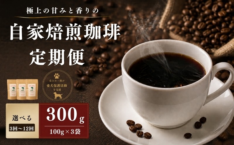 
                  【 定期便 】 自家焙煎珈琲豆 300g/回 選べる 3か月 6か月 12か月 ( コーヒー コーヒー豆 定期 珈琲 豆 飲み比べ 詰め合わせ 詰合せ セット 水出し 小分け ドリップ アイス アイスコーヒー 保護活動 動物愛護 アウトドア キャンプ ギフト 贈答 贈り物 京都府 京都 京丹波町 ) 
                