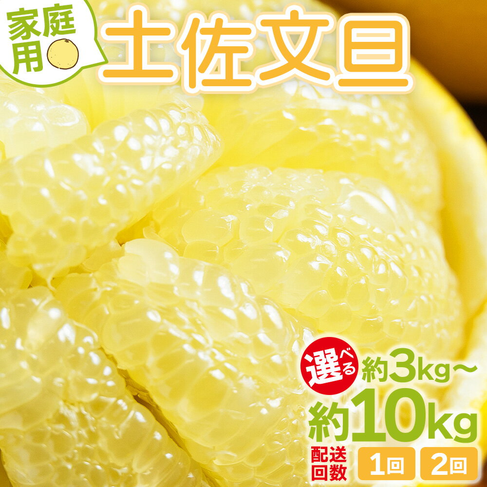 【ふるさと納税】【選べる】【先行予約】土佐文旦 家庭用 大小混合(L～3L) 内容量:約3/10kg 定期便1/2回 - 選べる 数量 定期回数 果物 フルーツ 柑橘 ぶんたん ブンタン おいしい 送料無料 特産品 期間限定 山北みらい 高知県 香南市【常温】