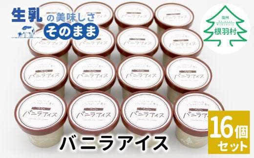 マダガスカル産バニラビーンズ香る！バニラアイスクリーム 16個入り アイスクリーム 10000円　アイス バニラ デザート スイーツ