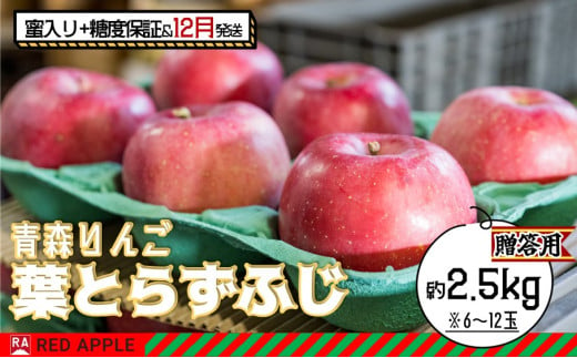 りんご 【 12月発送 】 蜜入り ＆ 13度糖度保証 贈答用 葉とらず ふじ 約 2.5kg 【 弘前市産 青森りんご 】