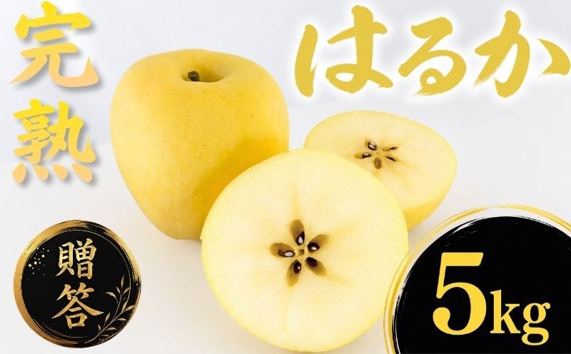 
                  【12月上旬~発送】 贈答用 りんご はるか 5kg 先行予約 完熟 りんご リンゴ ringo りんご 林檎 産地直送 新鮮 アップル くだもの 果物 フルーツ ハルカ りんご 旬 盛岡りんご 旬のりんご 甘い りんご あまい 果実 冬 特産 岩手県 盛岡市 東北 岩手 盛岡 ふじむら農園 fujimura010
                
