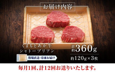 12回定期便 GI認証 くまもとあか牛シャトーブリアン 約120g×3枚 ステーキ BHAS074 ステーキ
