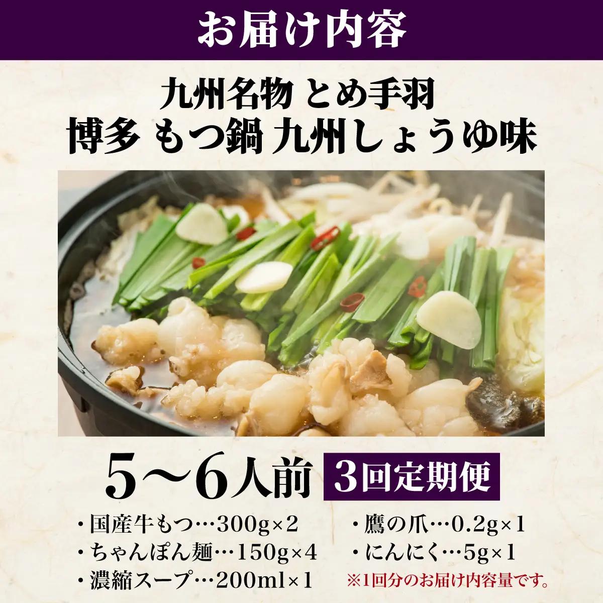 ＜定期便・全3回＞九州名物 とめ手羽 博多 もつ鍋 セット 九州しょうゆ味 5-6人前