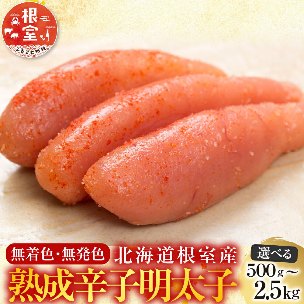 【ふるさと納税】 [北海道根室産] ＜鮭匠ふじい＞ 熟成辛子明太子 選べる 500g 〜 2.5kg めんたいこ からし明太子 辛子めんたいこ からしめんたいこ 魚卵 ご飯のお供 鱈卵 お取り寄せ グルメ 海鮮 北海道 根室市 ふるさと納税