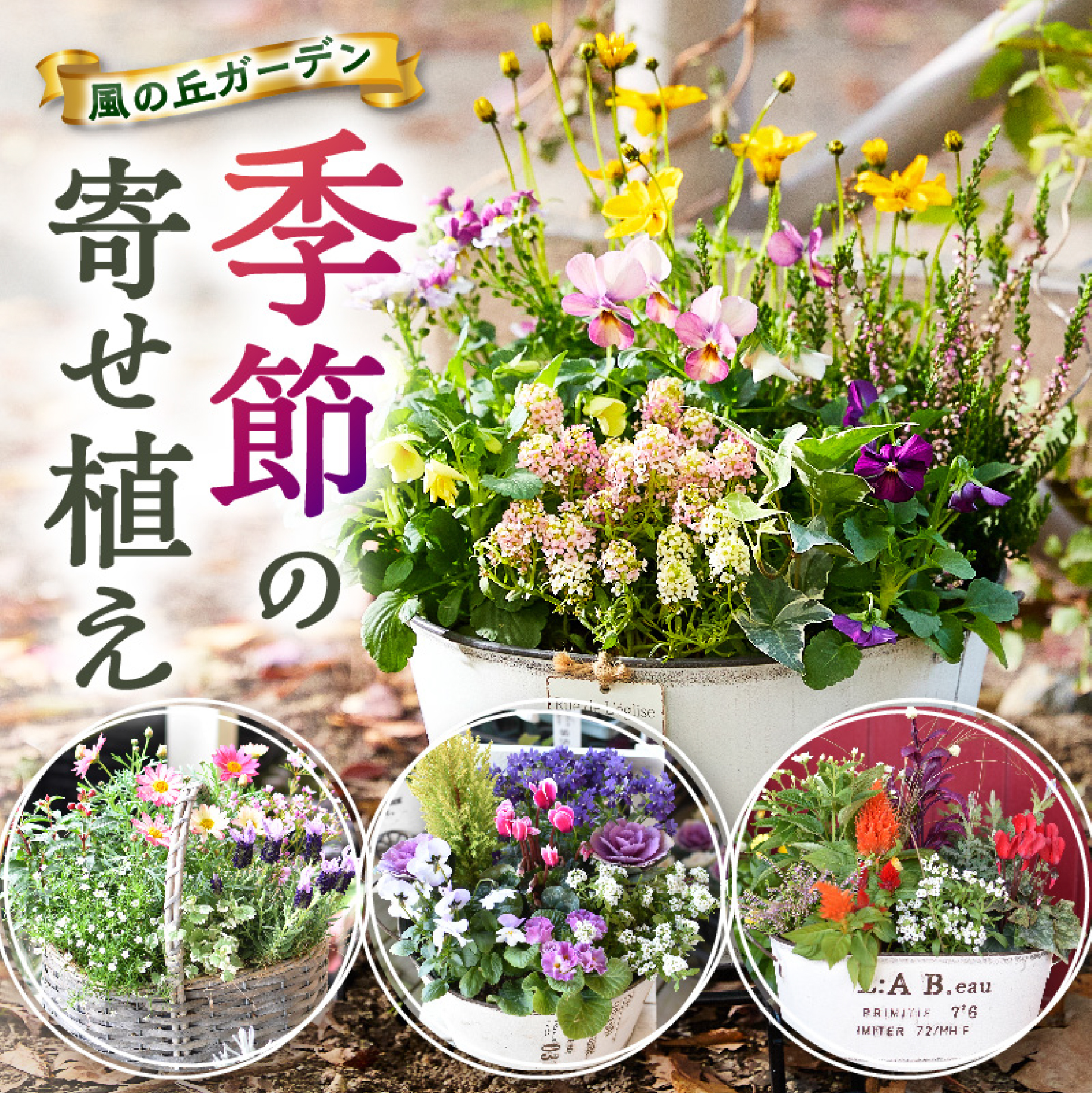 【10月頃から発送・お手軽ガーデニング】季節の寄せ植え（風の丘ガーデン） ギフト寄せ植え 贈答用寄せ植え 母の日 誕生日 記念