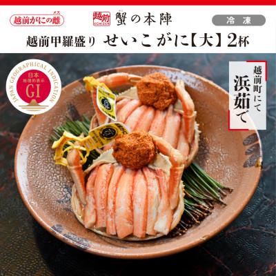 ふるさと納税 越前町 越前甲羅盛り 浜茹で【せいこがに 大】2杯セット