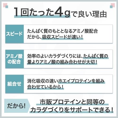 【12か月定期便】味の素（株）アミノバイタル（R)アミノプロテイン　レモン味・カシス味　各30本入り（交互にお届け）