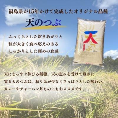 ふるさと納税 西郷村 新米先行予約【令和8年産】天のつぶ精米20kg(5kg×4袋)一等米!　米　西郷村　農家直送 |  | 01