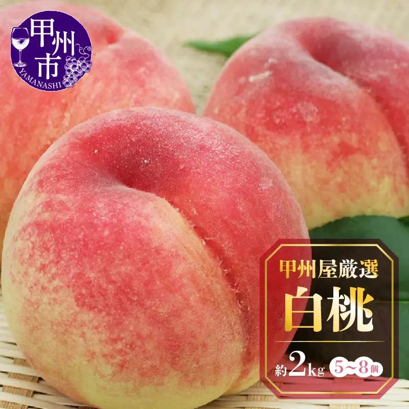 甲州屋厳選 白桃 約2kg 5～8玉【2026年発送】B15-133 桃 フルーツ