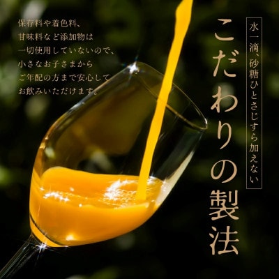 のま果樹園のみかんジュース「ガーディ・オレ・スペシャル」720ml×6本【V003030SET6】【1634384】