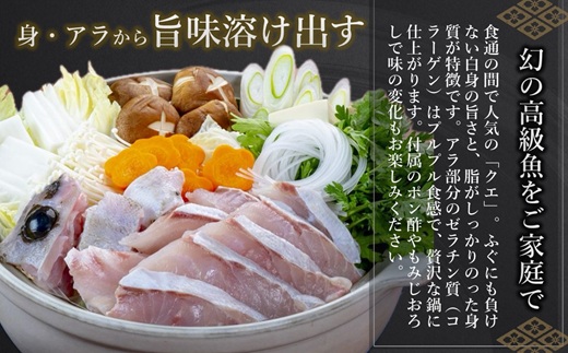 鷹島のうまかクエ鍋用(2〜3人前)【C9-001】 鷹島産 クエ 絶品 鱗処理済み クエ鍋 高級魚