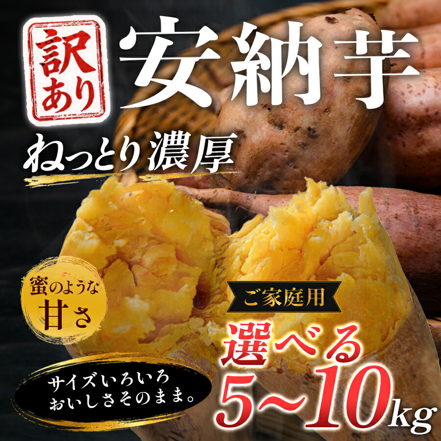 【ふるさと納税】【訳あり】さつまいも 熟成 安納芋 約5kg・約8kg・約10kgから選べる 焼き芋 焼芋 やきいも ねっとり 濃厚 蜜芋 芋 おいも サツマイモ さつま芋 安納いも スイーツ おやつ 国産 産地直送 栽培期間中農薬不使用 高知県 大月町産