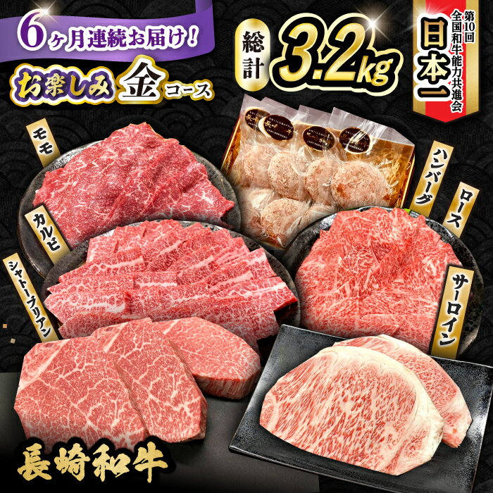 【ふるさと納税】【6回定期便】長崎和牛お楽しみセット 金コース（シャトーブリアン・サーロインステーキ・長崎和牛入りハンバーグ・焼き肉用 カルビ・ロース・モモ） / 長崎和牛 和牛 牛肉 肉 / 大村市 / かとりストアー[ACAN066]