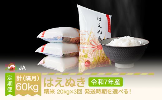 【先行予約】 新米 米 はえぬき 隔月定期便 20kg×3回 精米 令和7年産 2025年産 2025年10月下旬～ ja-haxxa20-sk10to2c