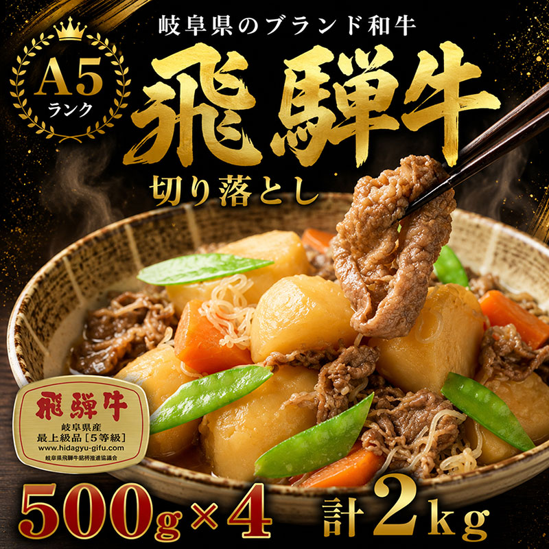 飛騨牛 牛肉 切り落とし 500g×4 計2kg 和牛