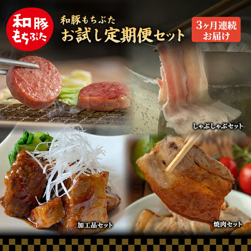 【ふるさと納税】【定期便3回】和豚 もちぶた お試しセット 3ヶ月連続 こだわりのちょっと贅沢 ソーセージ 角煮 もち豚 豚肉 ポーク 肉 豚 ぶた ブタ 豚ロース 加工肉 レトルト レトルト食品 加工肉 アウトドア キャンプ バーベキュー