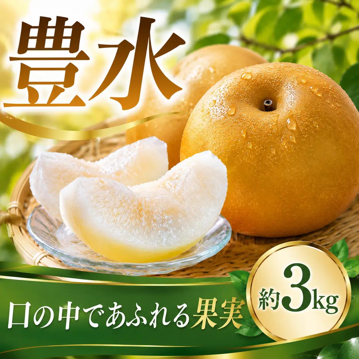 先行予約 数量限定 千葉県産梨 豊水 約3kg（8～10玉） 梨