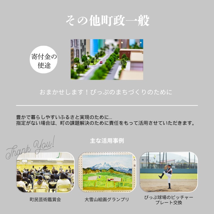 【返礼品なし】北海道比布町への寄付