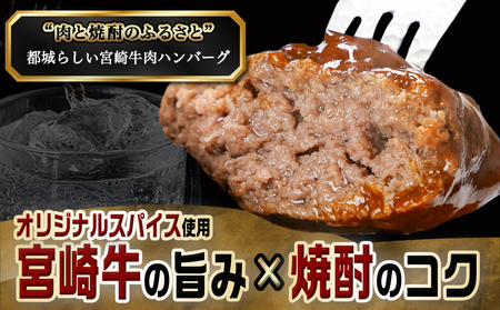 【父の日】加熱済み☆宮崎牛ハンバーグ6個≪6月12日～15日お届け≫_14-8405-FG_(都城市) 都城産 宮崎牛 ハンバーグ 湯せん 贈り物 父の日ギフト