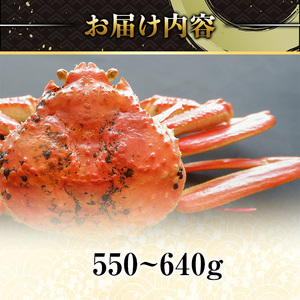 ＜土日祝着※指定日不可＞＜期間限定・訳あり＞＜11月中旬～3月中旬発送予定＞松葉ガニ 活生(約550～640g/1枚) 境港産 訳アリ 海鮮 かに カニ 蟹 松葉ガニ 松葉がに 松葉蟹 ずわいがに ズ
