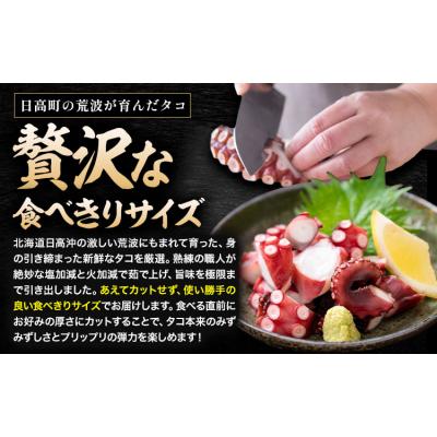 ふるさと納税 日高町 海鮮 日高町産 ボイルタコ 500〜600g 石崎水産 《30日以内に出荷予定(土日祝除く)》 |  | 01