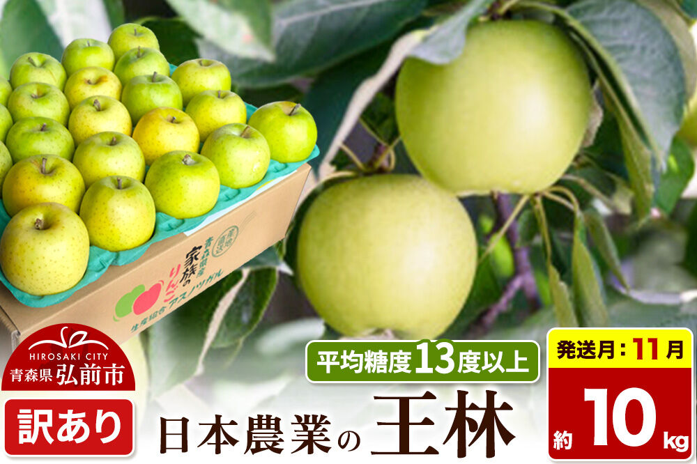 【26年11月発送】りんご 王林【訳あり】約10kg 平均糖度13度以上 青森県 弘前市 果物 フルーツ 林檎 リンゴ くだもの 不揃い 規格外 [先行予約 家庭用 産地直送 アップル 青森県 弘前市]