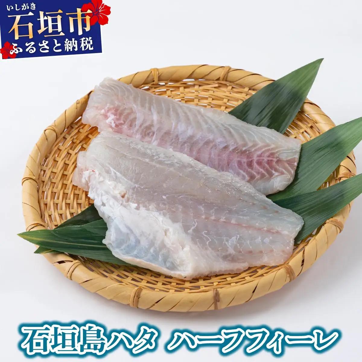  【ふるなびWEEK対象】石垣島 ハタ ハーフフィーレ