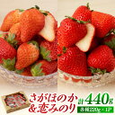 【ふるさと納税】【先行予約】食べ比べ！恋みのり＆さがほのか 各220g 詰め合わせ セット【鐘ヶ江農園】イチゴ 苺 直送 新鮮 果物 フルーツ 佐賀県産 白石町産 産地直送 [IBH007]