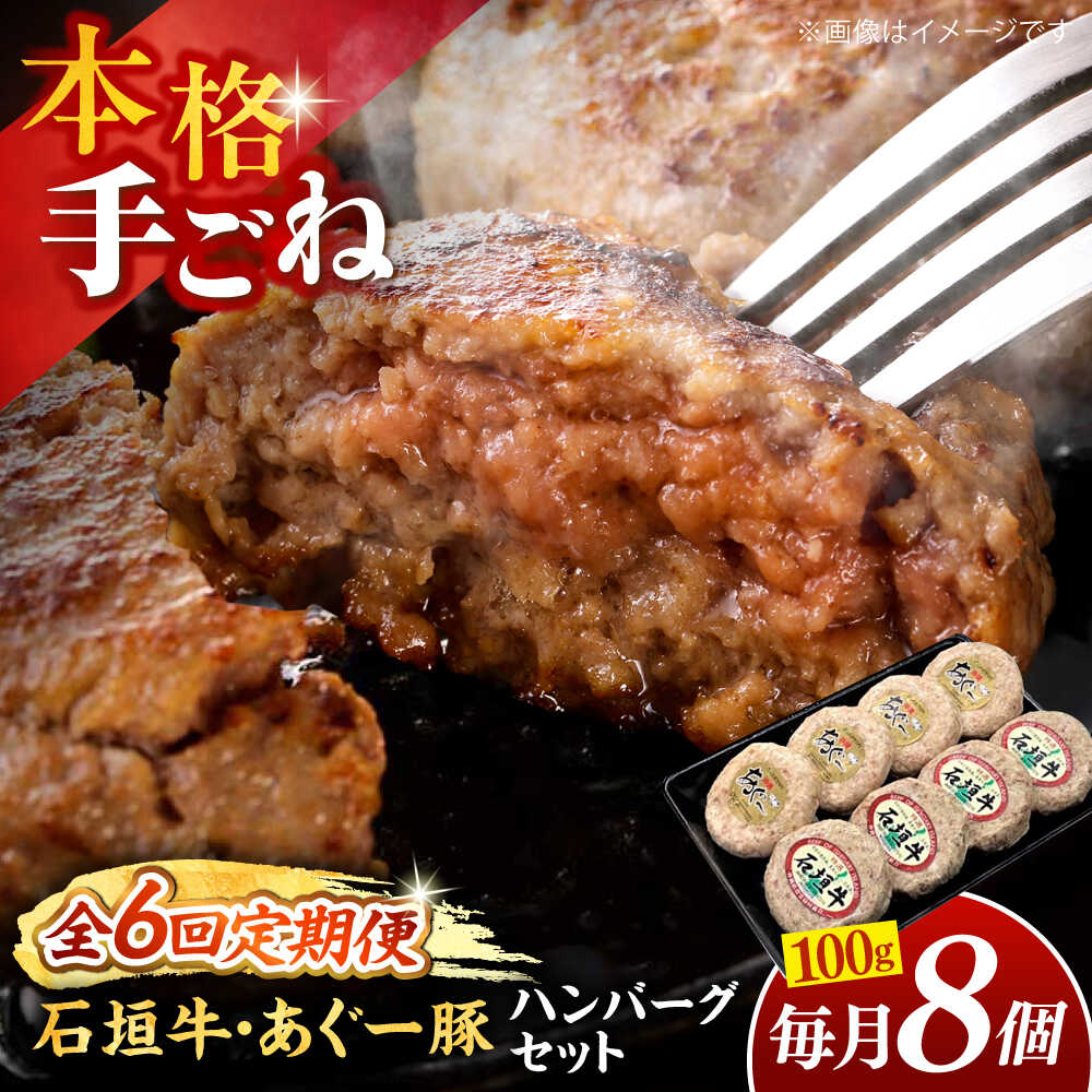 【ふるさと納税】【全6回定期便】沖縄県産 あぐー豚＆石垣牛 ハンバーグセット 800g (100g×8個) 豚 牛 ハンバーグ 冷凍 ギフト お取り寄せ 母の日 父の日 沖縄市 / お肉屋本店[BCAZ016]