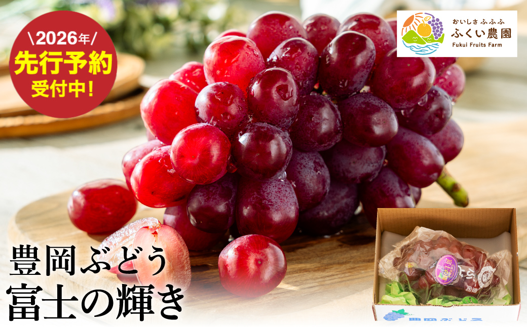 豊岡ぶどう 富士の輝き 600g / 豊岡ブドウ 産地直送 濃厚 甘味 コク 皮ごと 食べられる 減農薬 ぶどう ブドウ 葡萄 果物 くだもの フルーツ ふくい農園