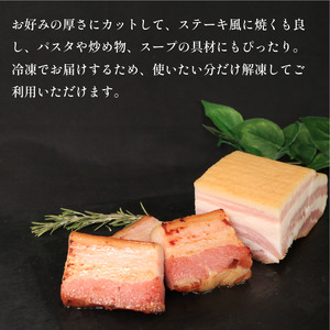 訳あり ベーコン ブロック 500g (250g×2) 厚切りベーコン ベーコン ベーコン
