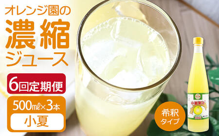 オレンジ園の濃縮ジュース 小夏 500ml 3本 6回定期便 希釈用 【J00115】