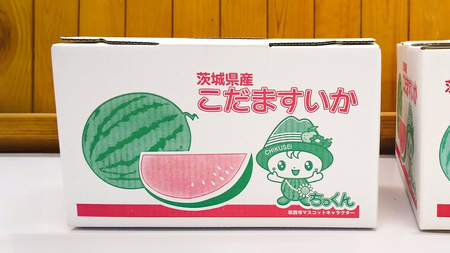 【 先行予約 】 希少品種 「 紅トップ 」 茨城県産 小玉 すいか  2玉入り Lサイズ スイカ [AG003ci]