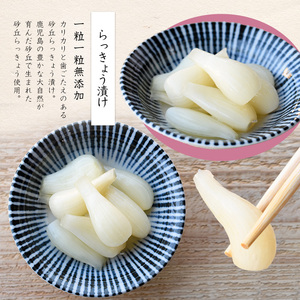 地元で愛されている手づくりの店 お母さんのらっきょう漬け1.2kg 木原屋 IB044-003 漬物 漬物