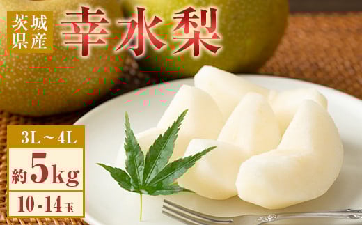 485 幸水梨 約5kg 10～14玉 3L～4L 梨 なし