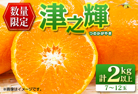 先行予約 数量限定 津之輝 つのかがやき 2kg以上 (2kg×1箱) フルーツ 果物 くだもの 柑橘 みかん 国産 食品 おすすめ ギフト 贈り物 贈答 プレゼント お返し お祝い 記念日 デザート おやつ フルーツサンド ジュース 宮崎県 日南市 送料無料 南郷包装津之輝 NEW返礼品 日南市からの贈り物特集_A79-23