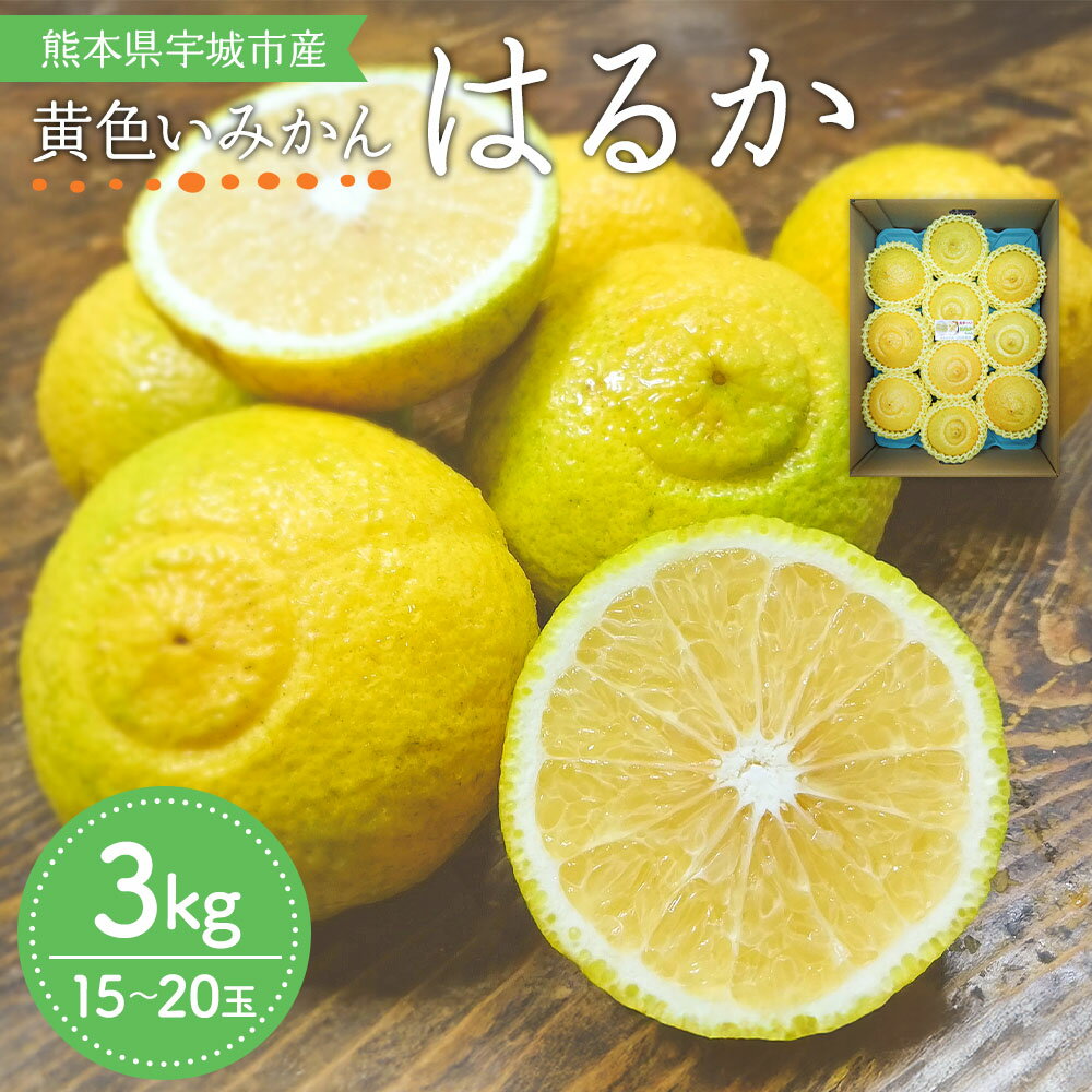 【ふるさと納税】 先行予約 みかん はるか 約3kg 15玉〜20玉 吉田レモニー 柑橘 宇城市産 熊本県産 九州産 国産 送料無料 【2026年2月上旬頃～2026年5月下旬発送】