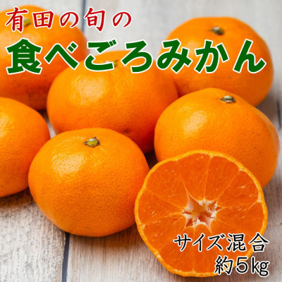 「農園直送」有田の旬の食べごろみかん約5kg(サイズ混合)(九度山町)【1717618】