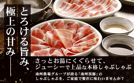 【鹿児島黒豚】シャブシャブ＆テキカツセット（3236）