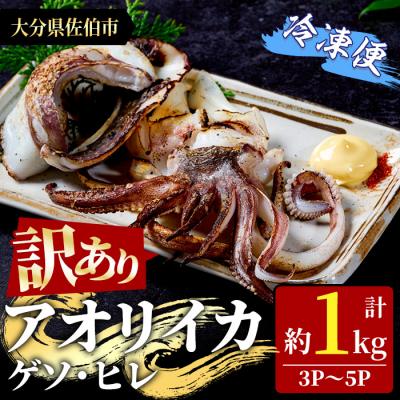 ふるさと納税 佐伯市 〈訳あり〉加熱用 アオリイカ(ゲソ・ヒレ) (計約1kg・3P〜5P)