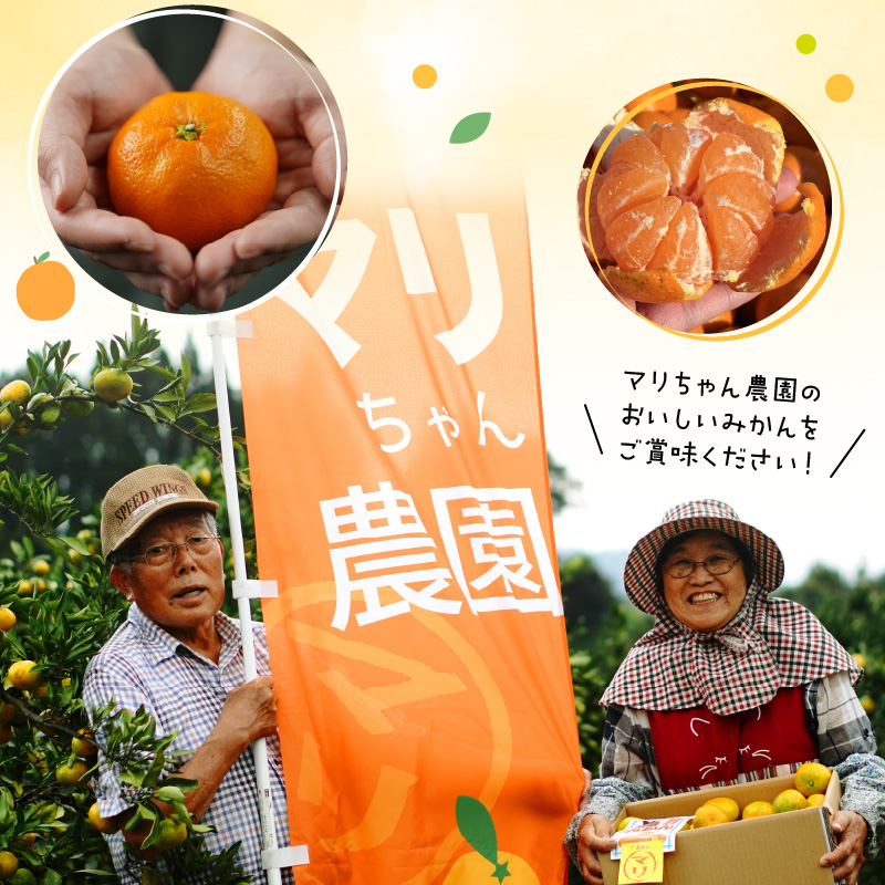 青島みかん 10kg N0132-YB351