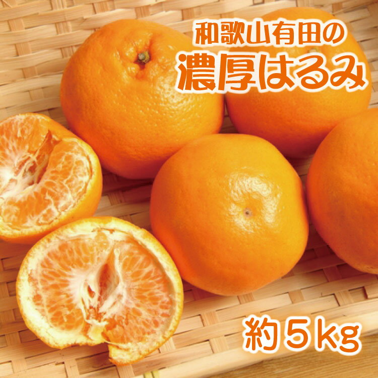 【ふるさと納税】 和歌山有田の濃厚 はるみ 約5kg (Lサイズ) ※2027年1月下旬～2月中旬順次発送予定